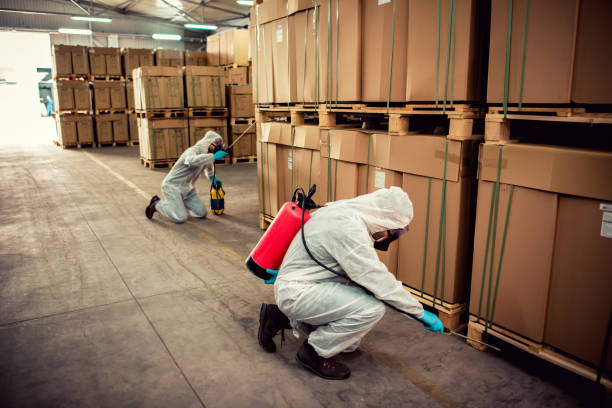 Best Best Pest Control Companies  in Seaside Park, NJ