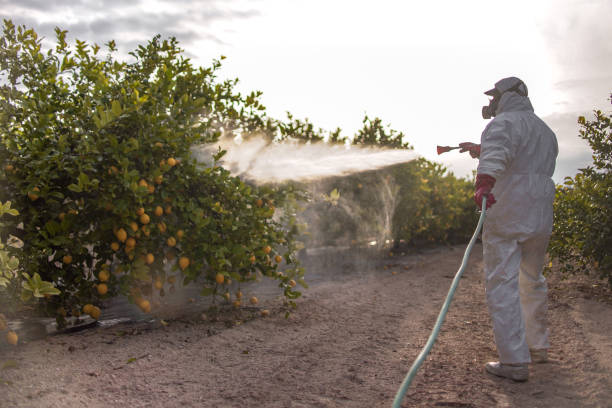 Best Insect Control  in Seaside Park, NJ