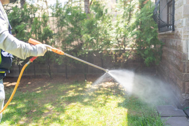 Best Pest Removal Services  in Seaside Park, NJ