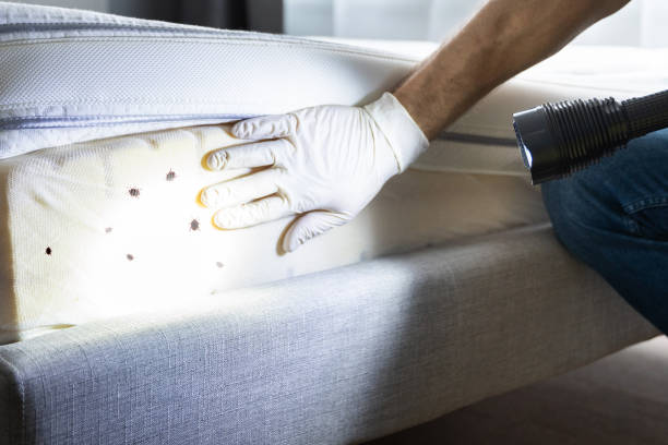 Best Flea Control Services  in Seaside Park, NJ