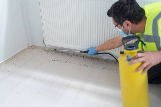 Best Bed Bug Extermination  in Seaside Park, NJ